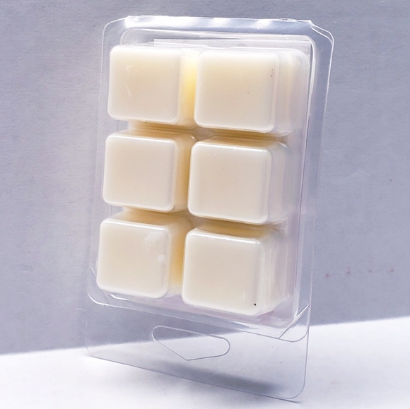 EUCALYPTUS SNOWFALL -Bath & Body Works Candle Wax Melts- $8 per pack - Picture 2 of 9